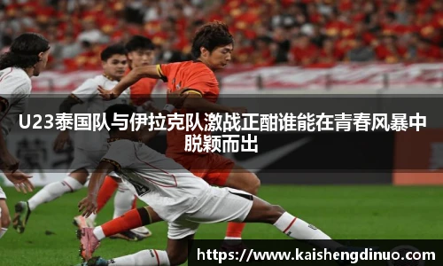 xc体育手机下载