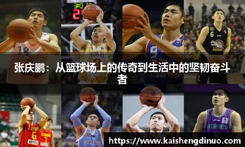 xc体育官方网站