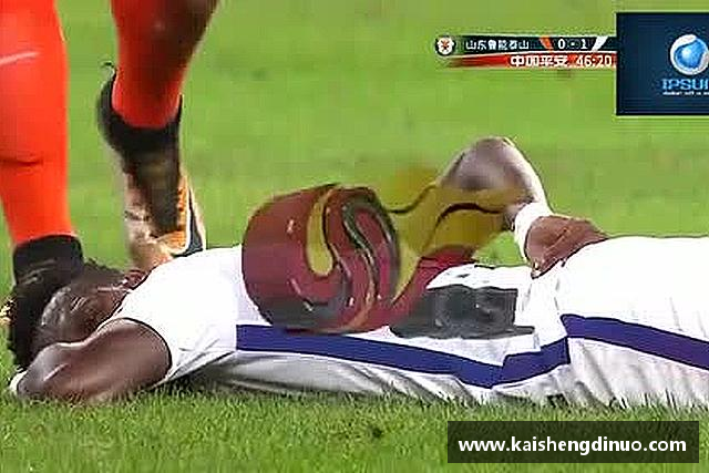 关于xc体育网址